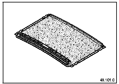 Velum