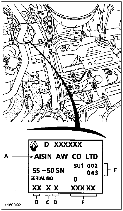 Identification 