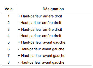 REMARQUE : les haut-parleurs sont branchés en